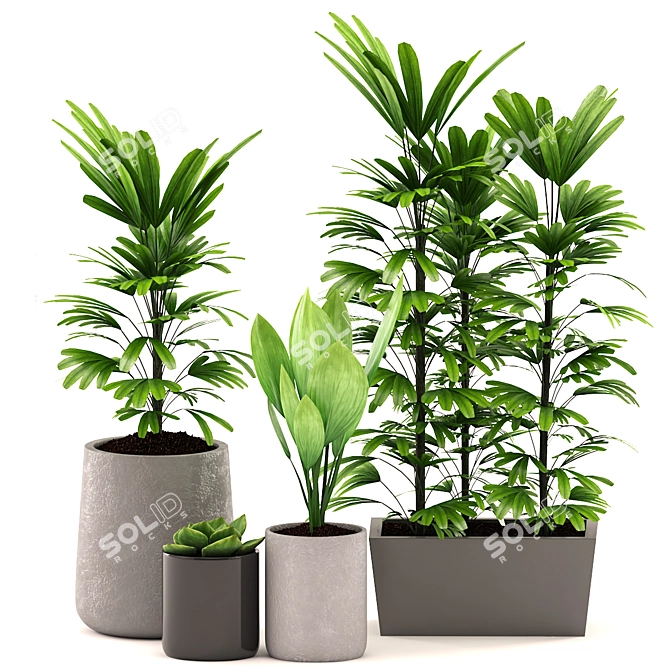 99 Varieties of Lush Greenery 3D model image 2