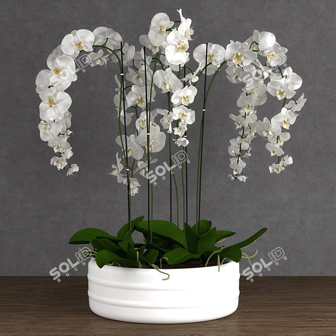 Exquisite Orchid Model 3D model image 1