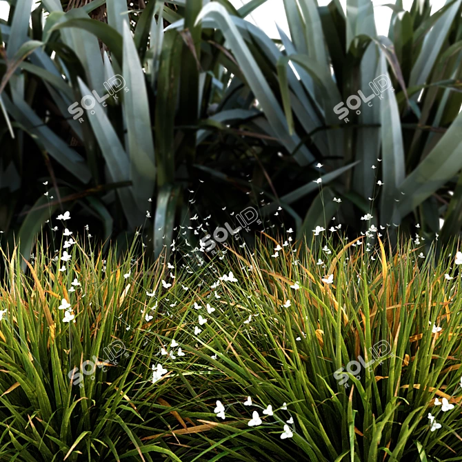 Oceania Plant Trio: Cabbage Tree, Flax & Iris 3D model image 3