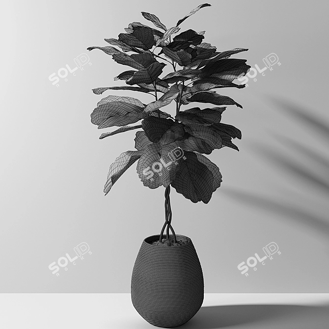 Exquisite Ficus Lyrata: UV Mapped, Versatile Render Formats 3D model image 3