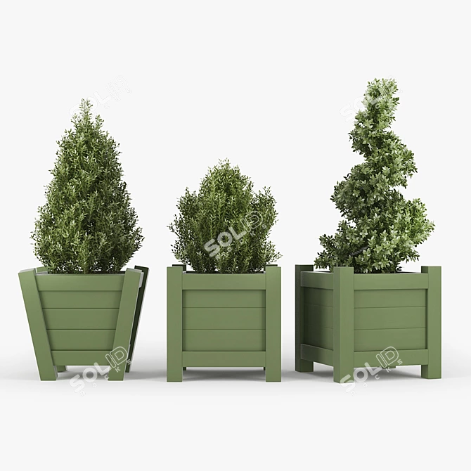 Lush Buxus Green Pot 3D model image 1