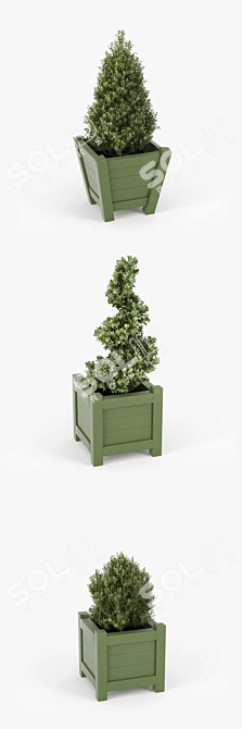 Lush Buxus Green Pot 3D model image 2