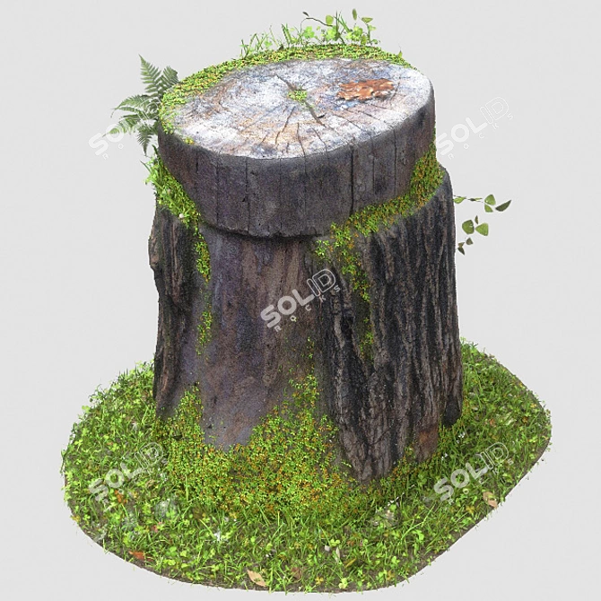 3D Trunk Tree Sculpture 3D model image 2