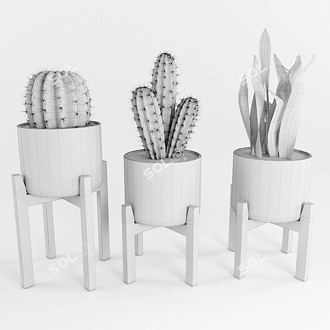 Desert Oasis: Cactus & Sansevieria 3D model image 3