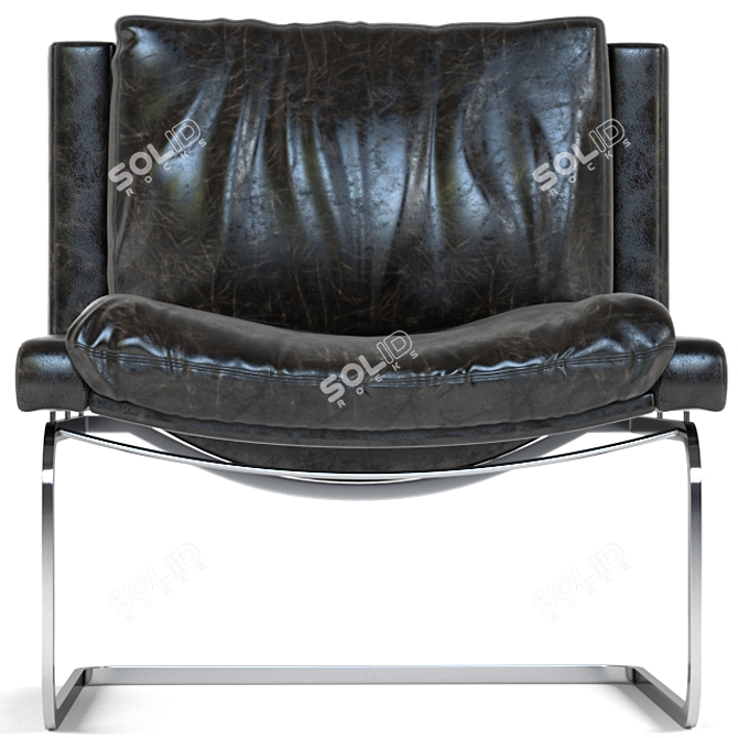 Sleek Ebony Lounge Chair - De Sede 3D model image 1