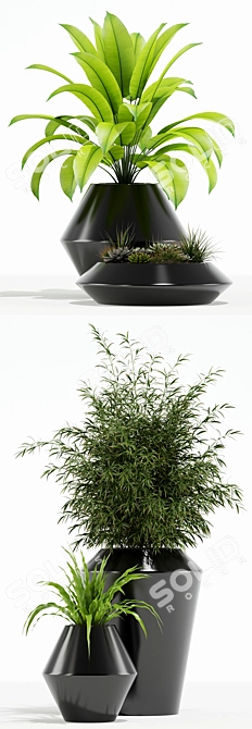 Westelm Modern Planters: Stylish Greenery for Your Home 3D model image 2