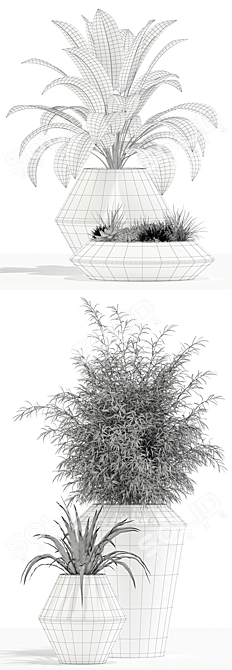 Westelm Modern Planters: Stylish Greenery for Your Home 3D model image 3