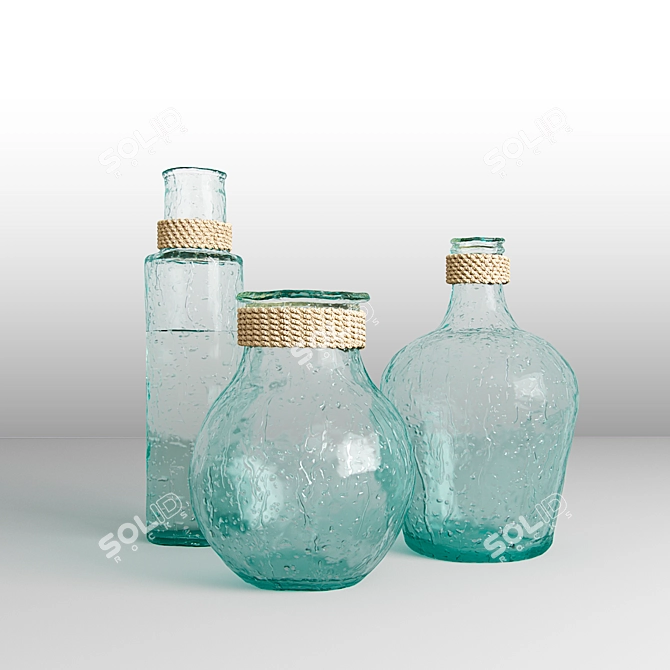 Elegant Palmer Vases & Decanter 3D model image 1