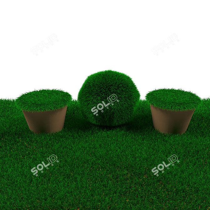 Lush Green Lawn 3D model image 1