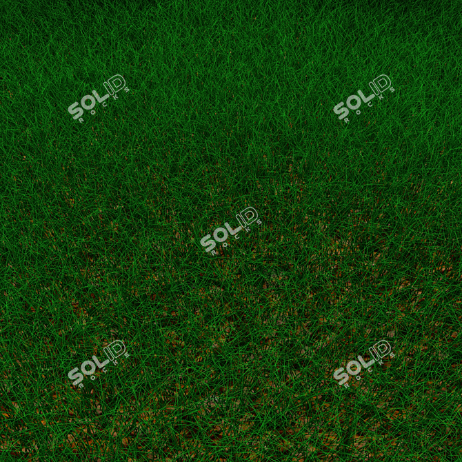 Lush Green Lawn 3D model image 2