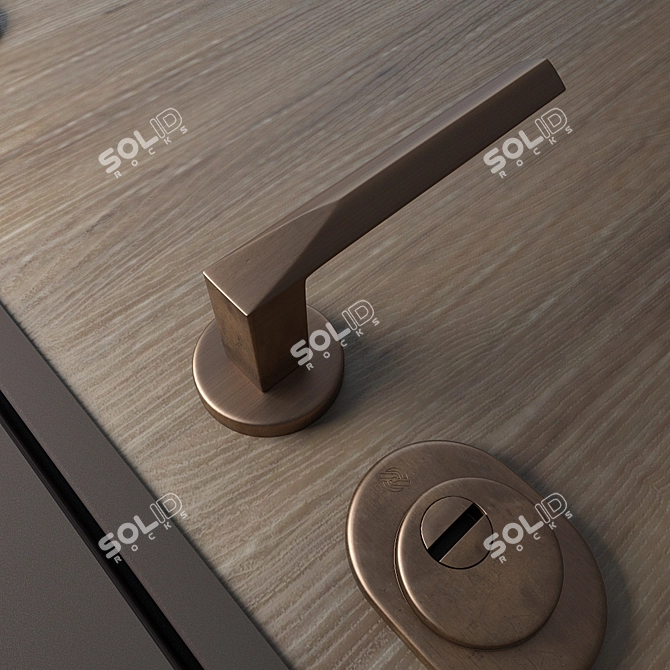 Om Shweda: European-Designed Smart Doors 3D model image 3