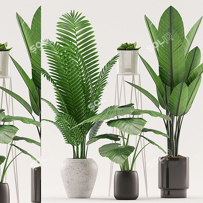 Tropical Plants Set in Ceramic Pot 3D model image 1