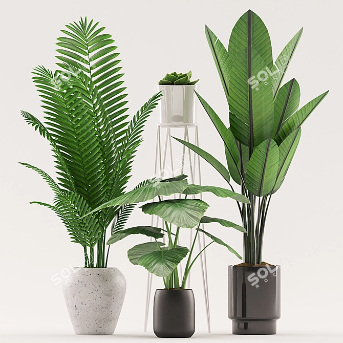 Tropical Plants Set in Ceramic Pot 3D model image 2