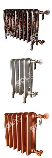 Bohemia Radiator Collection: 3D Models 3D model image 2