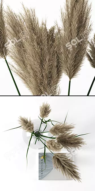 Realistic Pampas Grass Vase 3D model image 2