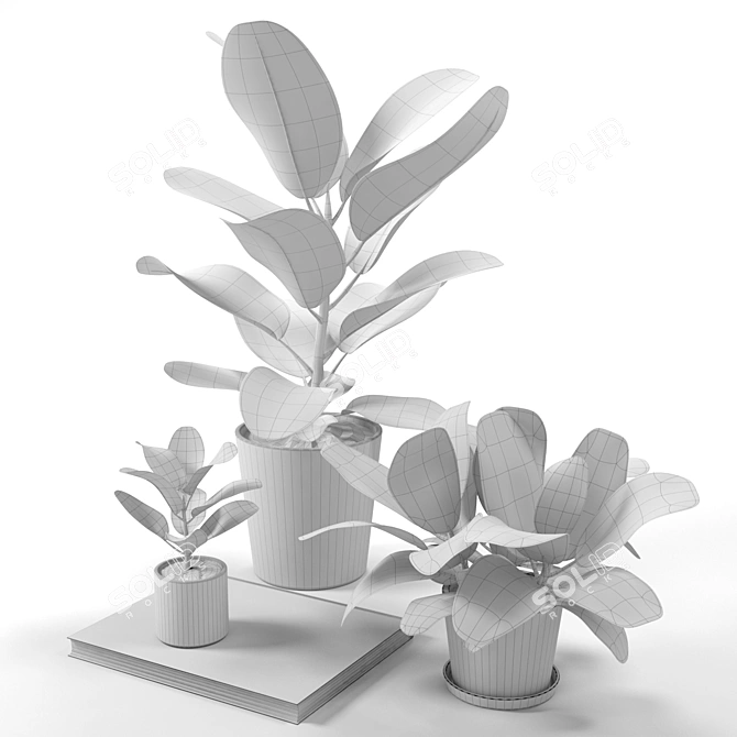 Benghalensis Ficus: Exquisite Potted Plant 3D model image 2