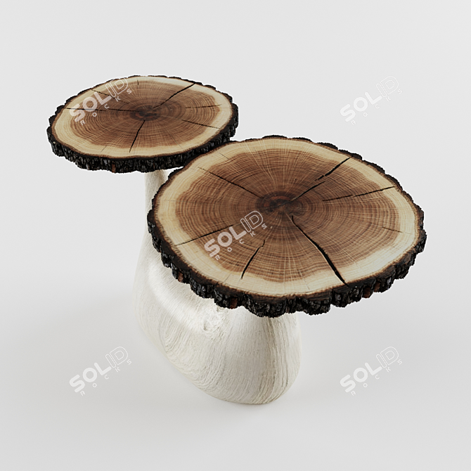 Natural Oak Wood Coffee Table 3D model image 2