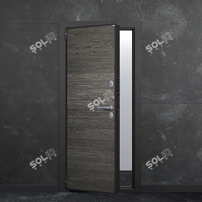 Modern Mirror Door - OM Door 3D model image 2