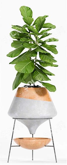 Stylish Plant Set: Decorate with Greenery 3D model image 3