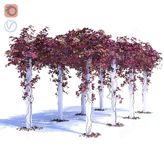 Seasonal Foliage Pergola Kit 3D model image 1