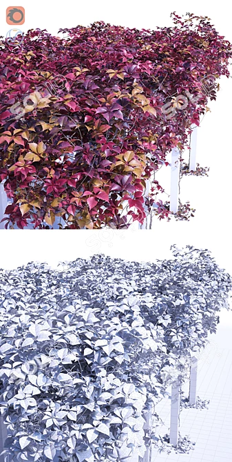 Seasonal Foliage Pergola Kit 3D model image 3