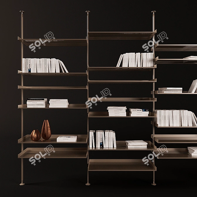 Sleek Zenit Bookcase by Rimadesio 3D model image 2