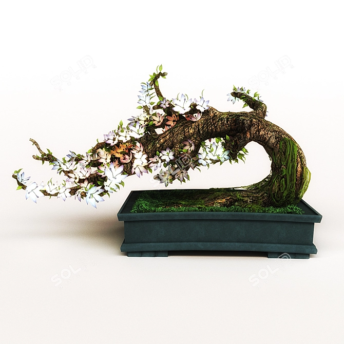 Artistic Bonsai Tree 3D model image 1