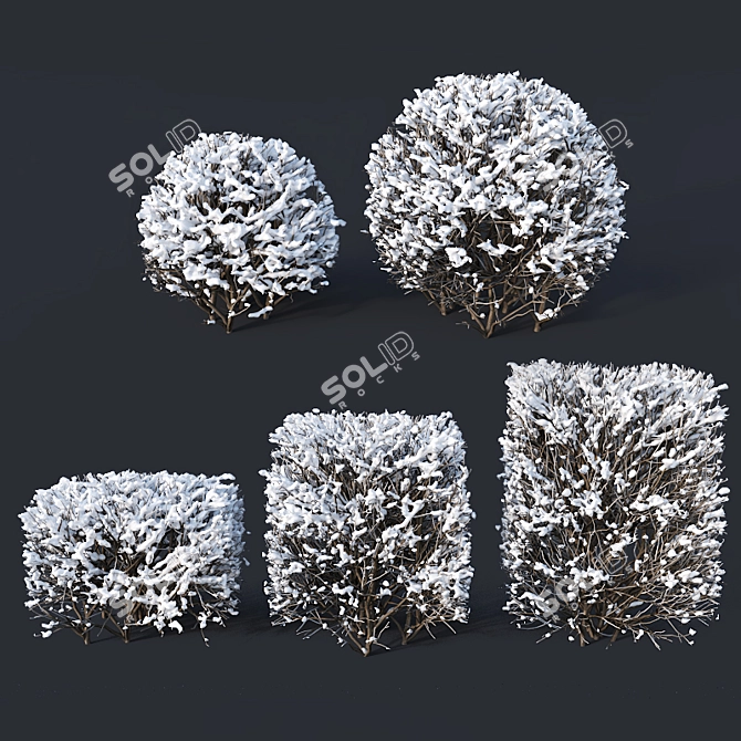 Versatile Winter Cube & Sphere Hedges 3D model image 1