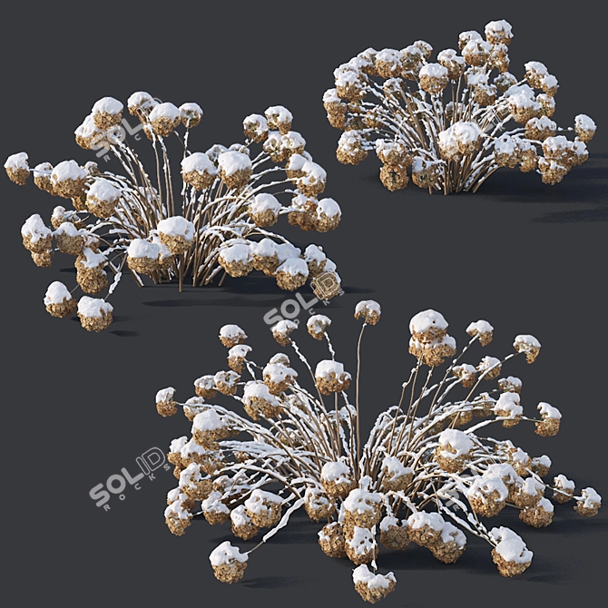 Snow-Covered Hydrangea Trio 3D model image 1