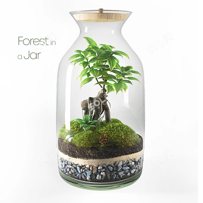 Woodland Wonder Miniature Terrarium 3D model image 1