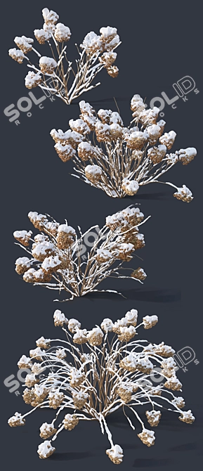 Snow-Covered Hydrangea Collection 3D model image 2