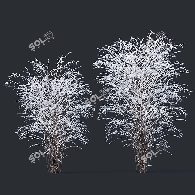 Snow-Covered Philadelphus Coronarius 3D model image 1