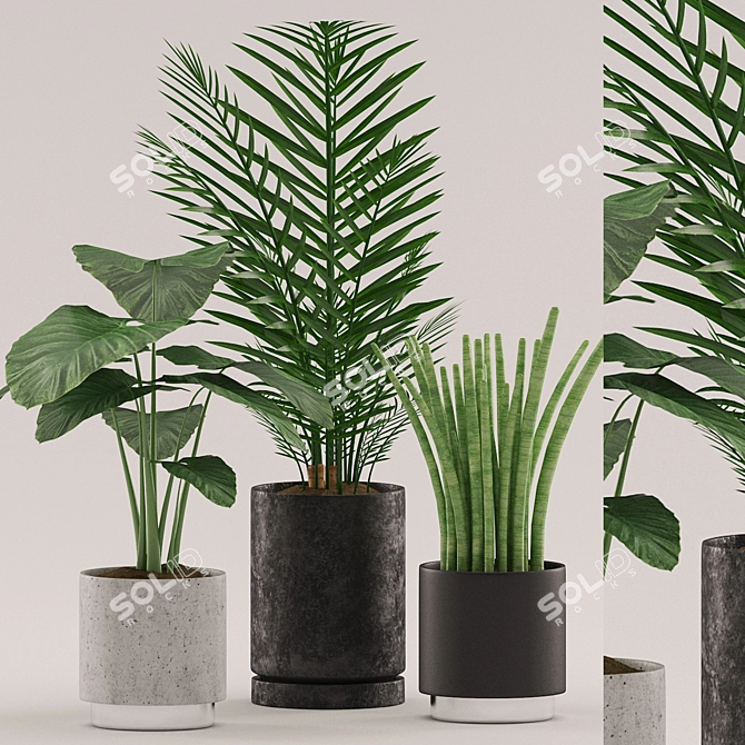 108 Varieties of Stunning Plants 3D model image 1