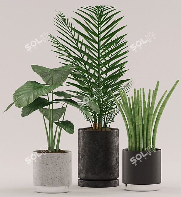 108 Varieties of Stunning Plants 3D model image 2