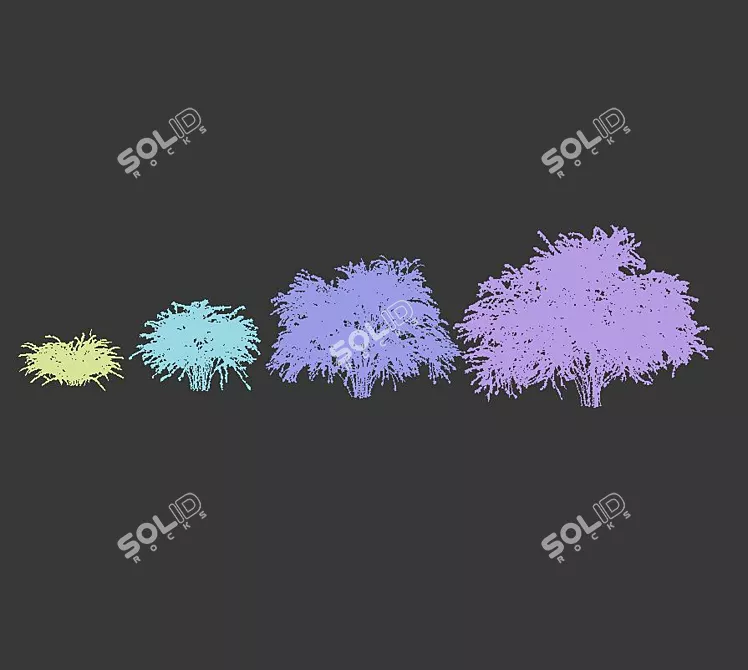 Snow-Covered Berberis Collection 3D model image 3