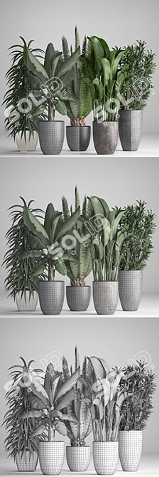 Tropical Plant Collection: Banana Palm, Date Palm, Ficus Alii 3D model image 3