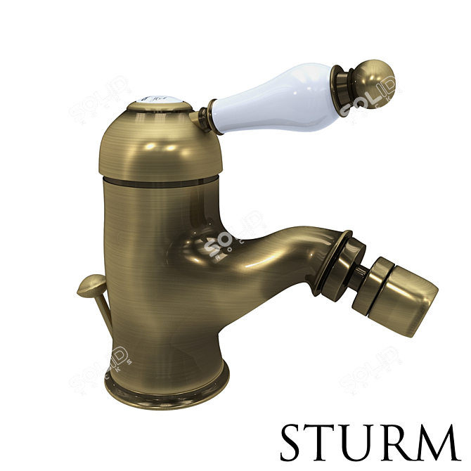 STURM Emilia Bidet Mixer - Elegant and Versatile 3D model image 2