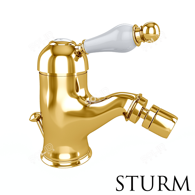 STURM Emilia Bidet Mixer - Elegant and Versatile 3D model image 3