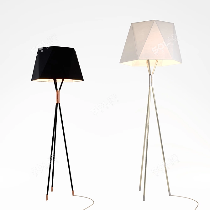 Éclat Solitaire - Floor Lamps 3D model image 1