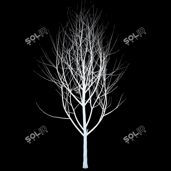  Winter Wonderland Tree 3D model image 2