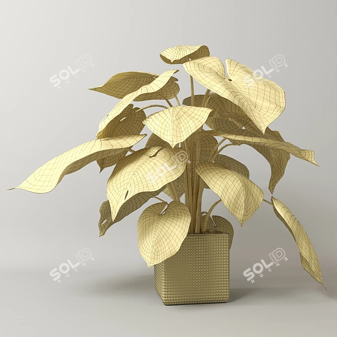 Lush Tropical Philodendron Plant 3D model image 3