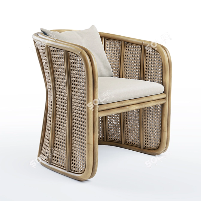 Boune Rattan Lounge Chair 3D model image 1