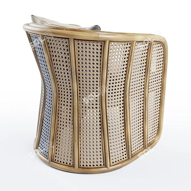 Boune Rattan Lounge Chair 3D model image 2