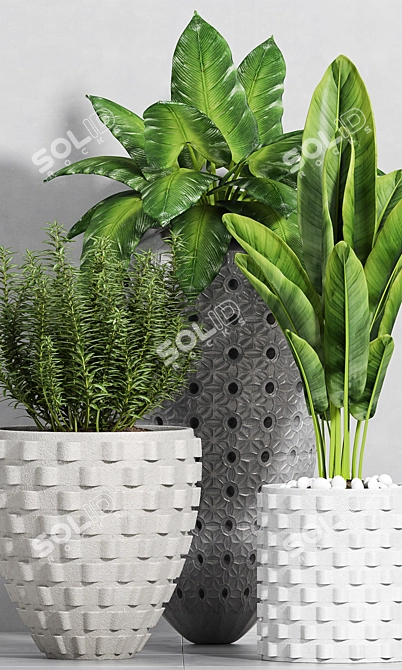 Stylish Plant Set - 3 Pieces 3D model image 2