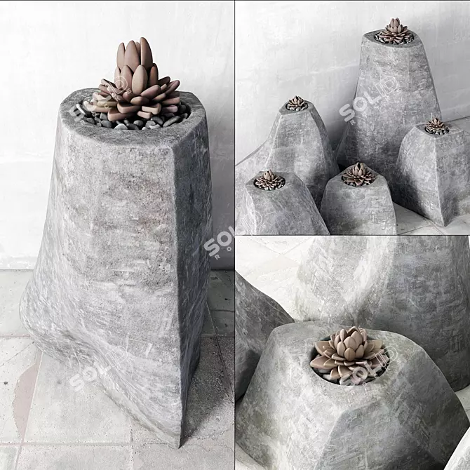 Succulent Rock Vase: Elegant Eco-Friendly Decor 3D model image 1