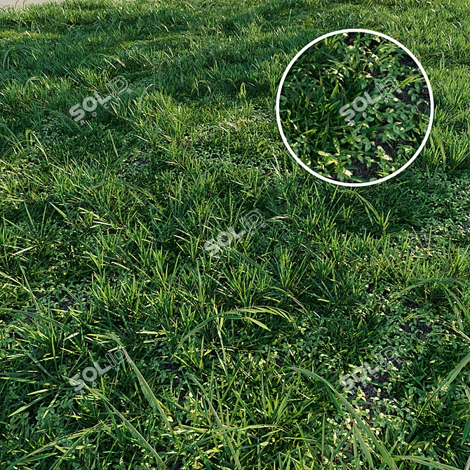 Meadow's Abundance: Lush and Versatile Grass 3D model image 1