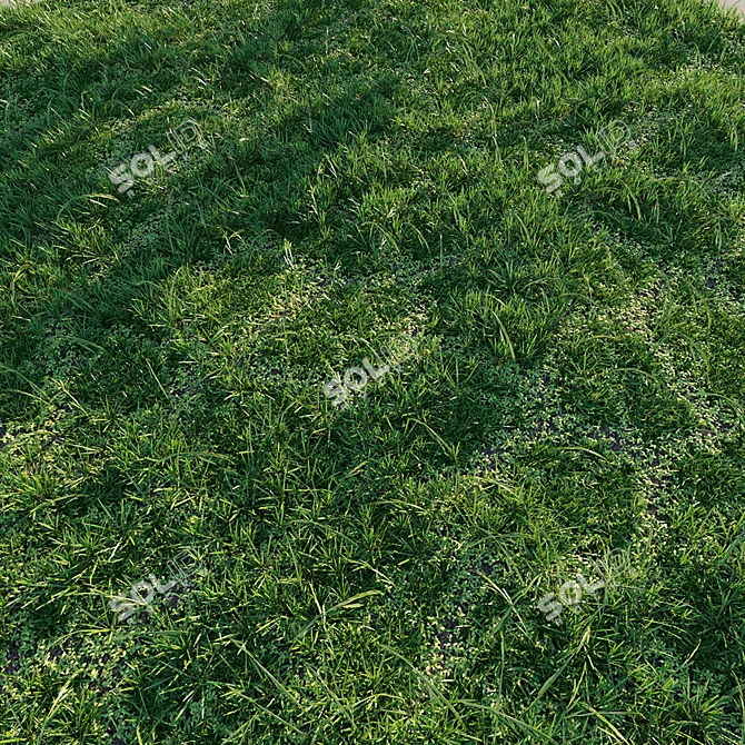 Meadow's Abundance: Lush and Versatile Grass 3D model image 2