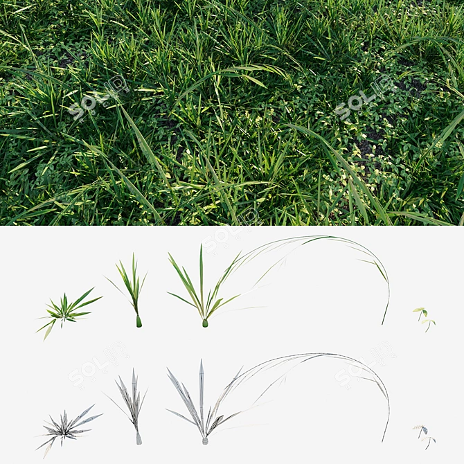 Meadow's Abundance: Lush and Versatile Grass 3D model image 3