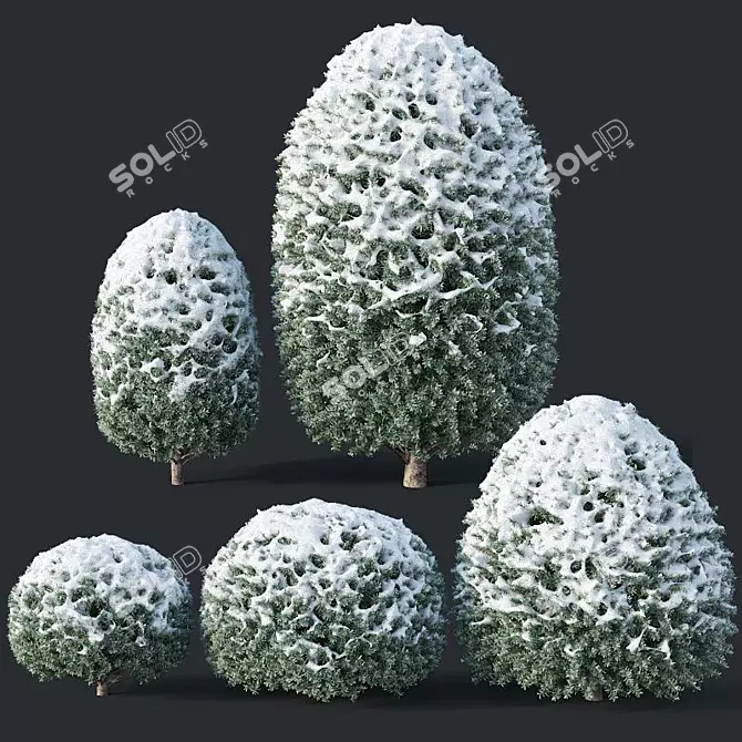 Snowy Yew Topiary Collection 3D model image 1