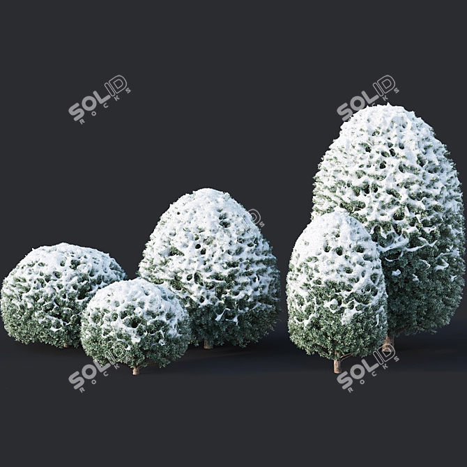 Snowy Yew Topiary Collection 3D model image 2